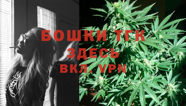 кокс Теберда