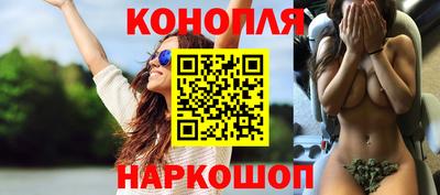 крисы Дубна
