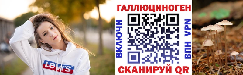 Псилоцибиновые грибы ЛСД  darknet официальный сайт  Курган 