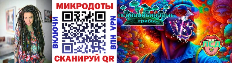 Псилоцибиновые грибы Psilocybine cubensis Курган
