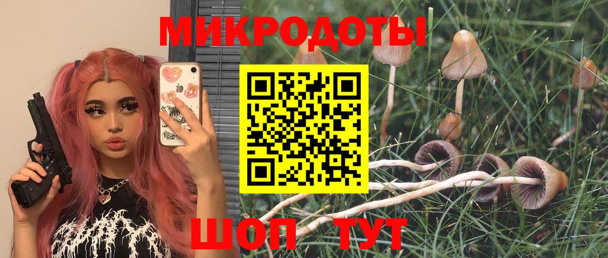 Галлюциногенные грибы Cubensis  Вход с VPN  Курган 