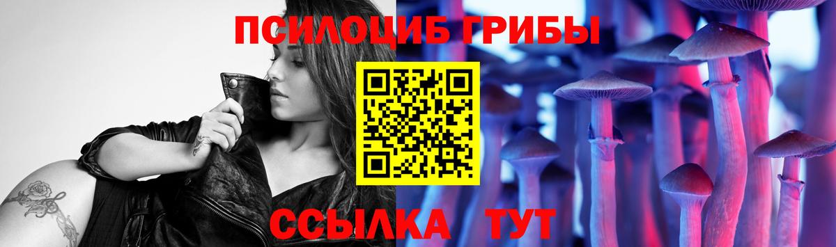 Галлюциногенные грибы Psilocybine cubensis Курган